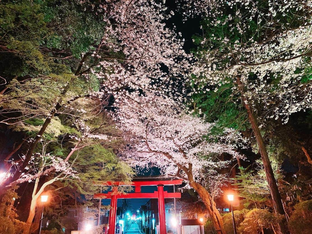 北原里英さんのインスタグラム写真 - (北原里英Instagram)「🌸 よくね？ . . . #🐊 #🌸 . . #桜 #夜桜 #with #浅川梨奈 . . #今年もたくさん桜が見れるといいな #インスタきっとまた桜だらけになります #☺️」3月23日 21時28分 - rie_kitahara_3