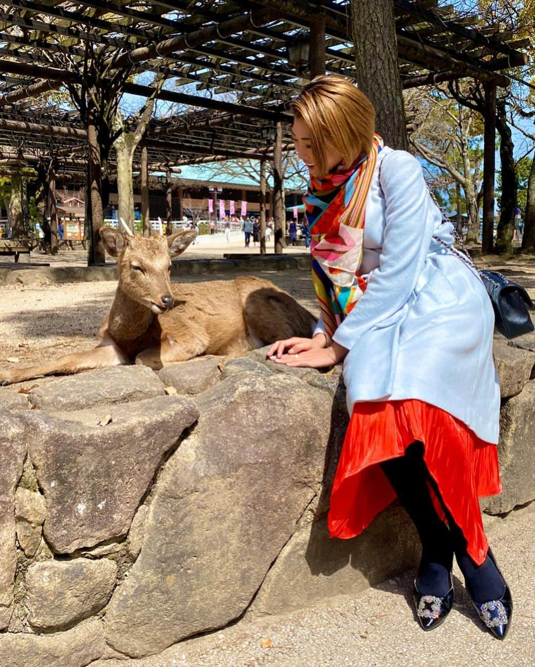 坂井雪乃さんのインスタグラム写真 - (坂井雪乃Instagram)「古くから神様が宿ると言い伝われている神聖な島【宮島】⛩✨ 宮島では神の使いとも言われている鹿が人懐っこく寄ってきてとても可愛かったです🥰💗 古い街並みを残す宮島で、趣ある径をゆっくりと風情を感じながらそぞろ歩きを楽しみました✨✨ . 人力車での散策では『大聖院』を案内してもらいました😊 全国から奉納されたお地蔵様がたくさんで、干支のお地蔵様がいました❣️ 私の干支【午年】のお地蔵様も可愛かったな〜🐴💛 . 青い海、豊かな緑と美しい自然に癒される豊かで贅沢な時間を過ごしました💗✨ 日本三景のひとつ『安芸の宮島』 次は紅葉の時期に来たくなりました🍁❤️ . #宮島 #広島 #大聖院 #雪乃の弾丸トラベラー #美脚製造トレーナー #美脚トレーナー　🤸‍♀️👠💖✨」3月23日 21時21分 - yukino_sakai