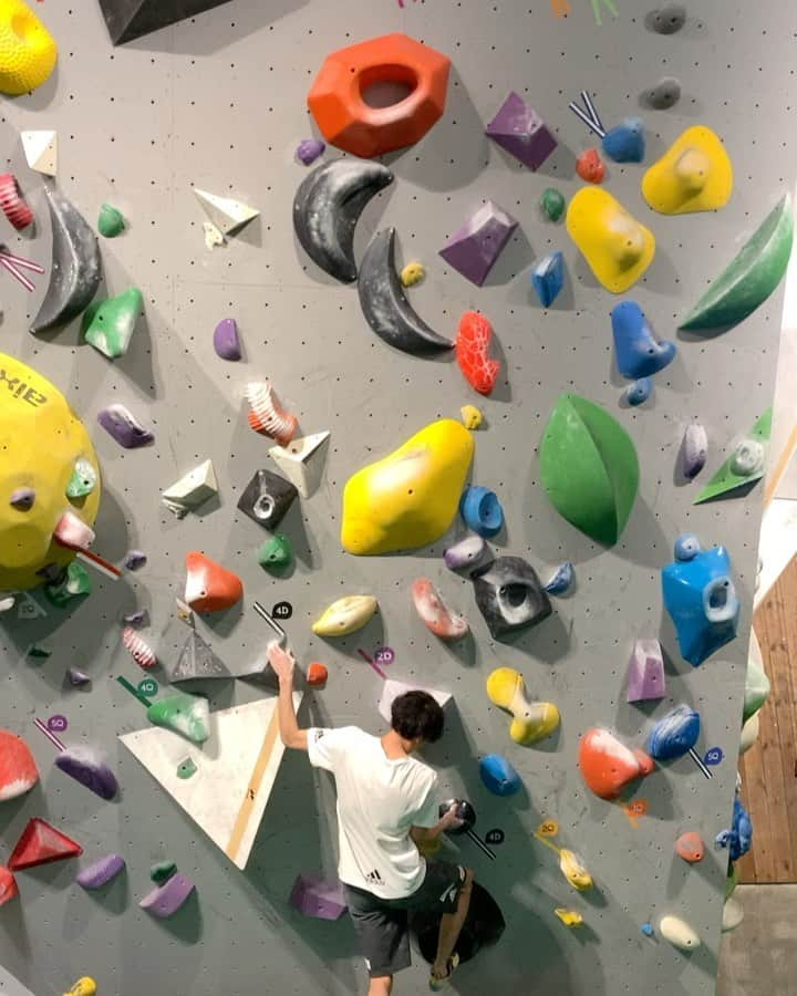 楢﨑明智のインスタグラム：「Good session at @dogwood_climbing_chofu • #teamau #日新火災 @adidasterrex @frictionlabs」