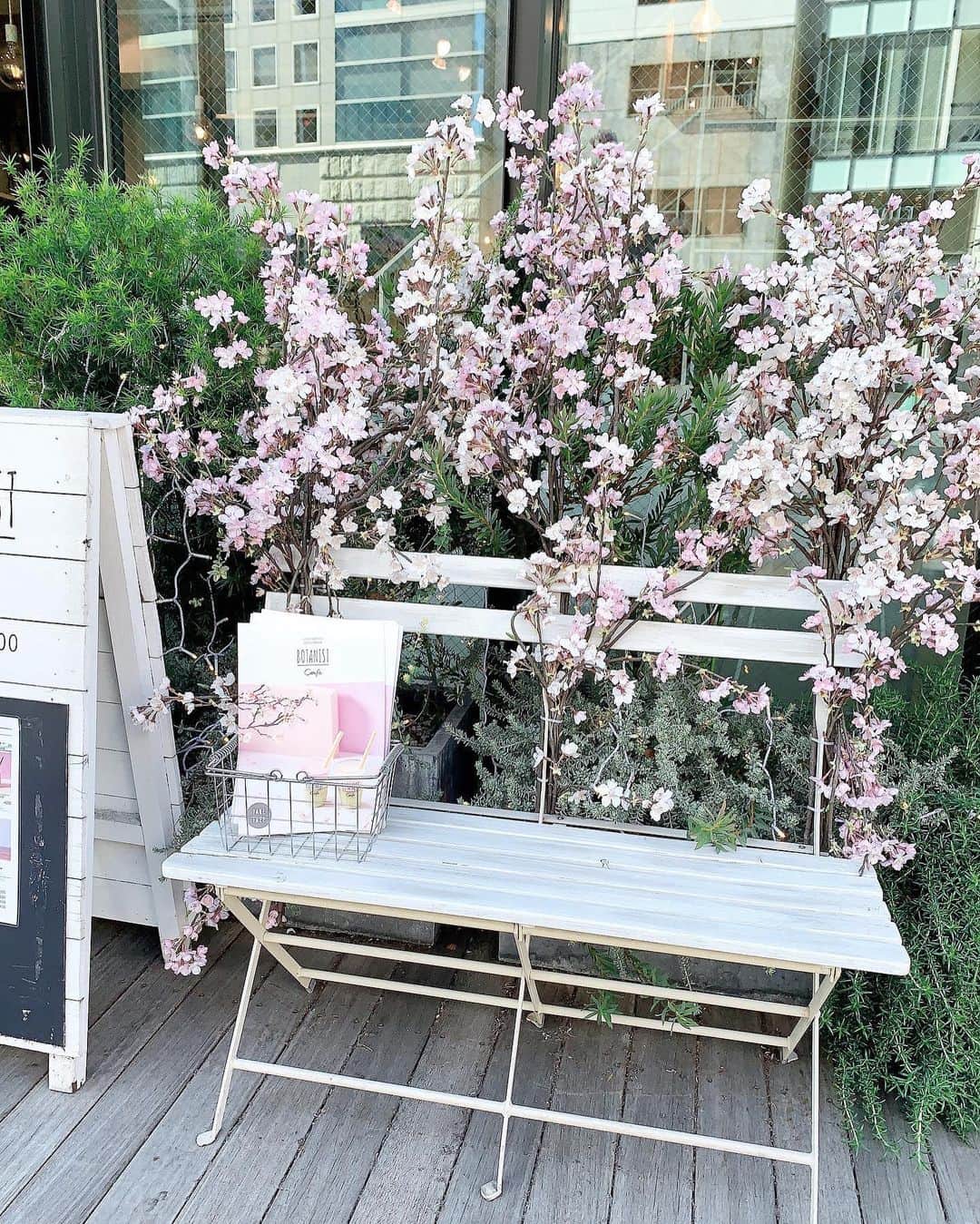 Miku Hirata 平田未来さんのインスタグラム写真 - (Miku Hirata 平田未来Instagram)「#桜が満開 になってきましたね🌸  先日ですが、#botanistcafe (@botanist_official )へ行ってきました💓  桜の花がディスプレイで外にあり可愛かったです✨  #greensmoothie は、さっぱりとしていて飲みやすいです🥤💓 ボタニカルな雰囲気満載でした💐  学校はもう #春休み に入り 連休もあまり関係なかったですが😅  あと2週間くらい、のんびり過ごします🌹  今回はあえてコロナについては触れず失礼いたします…😊 * * #ボタニスト #ボタニストカフェ #ボタニスト春限定 #botanist #botanisttokyo #omotesando #omotesandocafe #表参道カフェ #表参道ランチ #おしゃれカフェ #桜スポット #sakura #お花見コーデ  #おしゃれランチ #おでかけスポット  #chesty #チェスティ #チェスティワンピース #ママコーディネート #男の子ママコーデ　#幼稚園ママコーデ」3月23日 21時36分 - miku.hirata