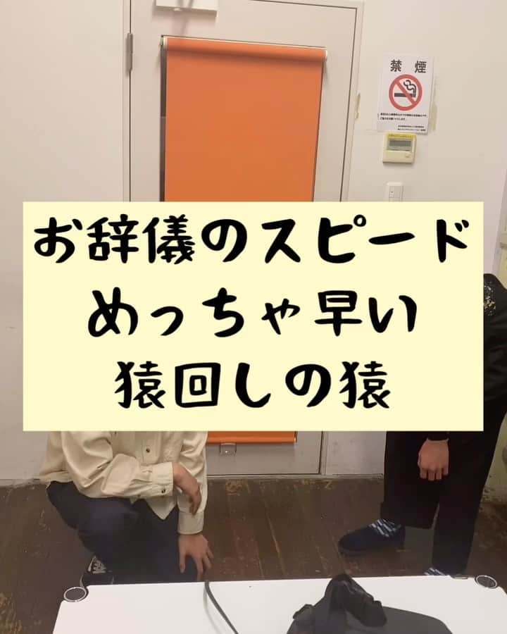 たいゆうきのインスタグラム：「タイの 動物あるあるモノマネ 「お辞儀のスピードめっちゃ早い猿回しの猿」  #タイ動物 #動物 #あるある #ものまね  #猿 #日光 #monkey  #挨拶  #早い  #スピード」