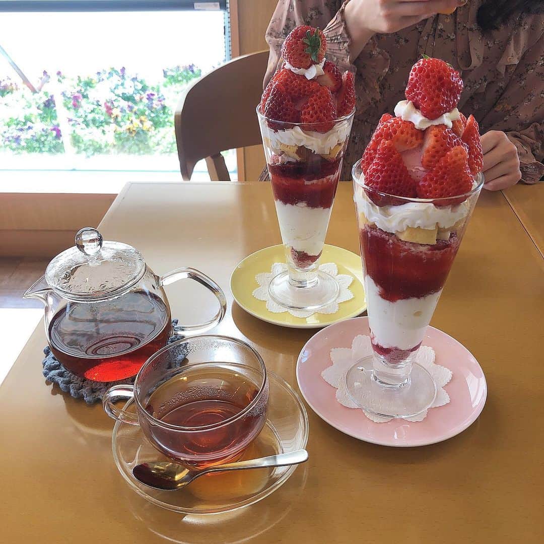 本間日陽のグルメインスタ