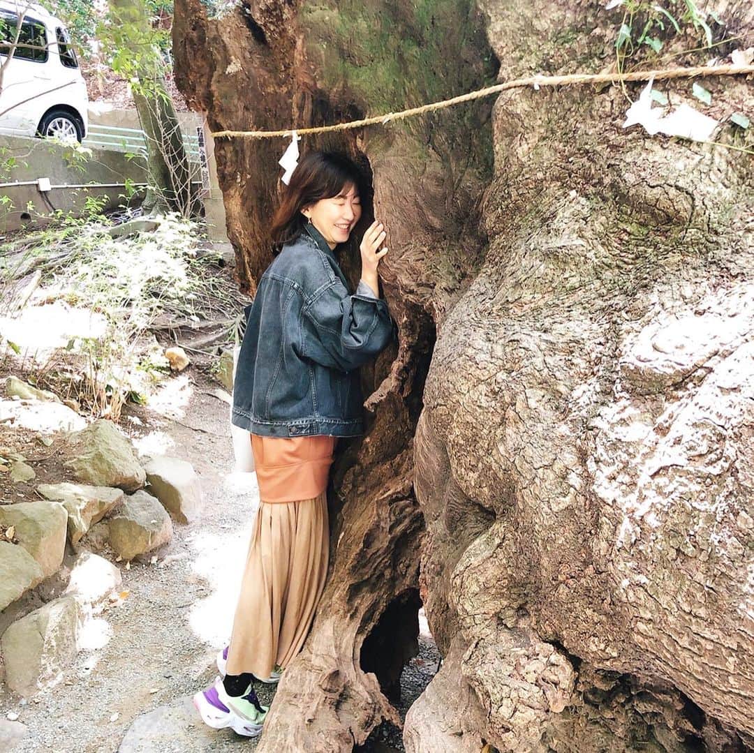 阿部洋子さんのインスタグラム写真 - (阿部洋子Instagram)「⛩ パワースポットらしい。 御神木の巨樹が2本。  #来宮神社  #はじめて  #お参り  #大楠  #樹齢 #2000年 #超え  #パワースポット #パワースポット神社  御神木にパワーをもらってるあたすと、 お参り前にはしゃぐあたすを撮らせるあたす。 イヤがるかなーと思いきや、 deliciousで撮ってみた、と意外にもたのしげw」3月23日 21時50分 - hirocoring