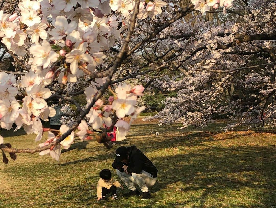 尾崎ナナさんのインスタグラム写真 - (尾崎ナナInstagram)「桜がとっても綺麗でしたよ🥺🌸🌸🌸 #でも #寒かった #桜もびっくりだね #早く気温上がってくれぃ」3月23日 22時03分 - nana._.ozaki