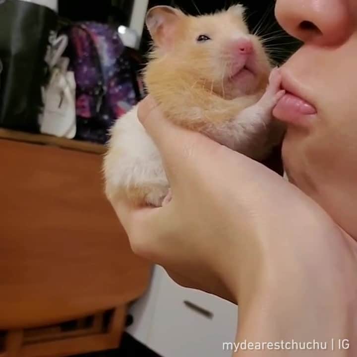 9GAGのインスタグラム