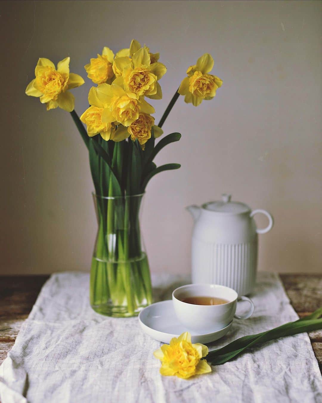 増田由希子さんのインスタグラム写真 - (増田由希子Instagram)「Daffodils- One of my favorite spring flowers💛 #Narcissus #lyngby #tea #lyngbyporcelain #daffodils 水仙　ディックウェルデン #水仙」3月23日 22時04分 - nonihana_