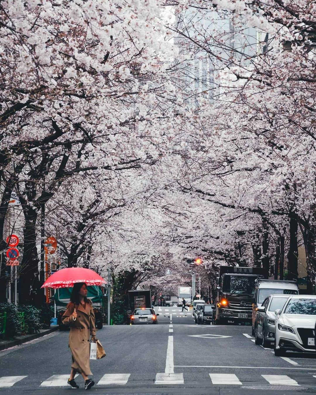 Takashi Yasuiさんのインスタグラム写真 - (Takashi YasuiInstagram)「Tokyo 2020🌸」3月23日 22時04分 - _tuck4