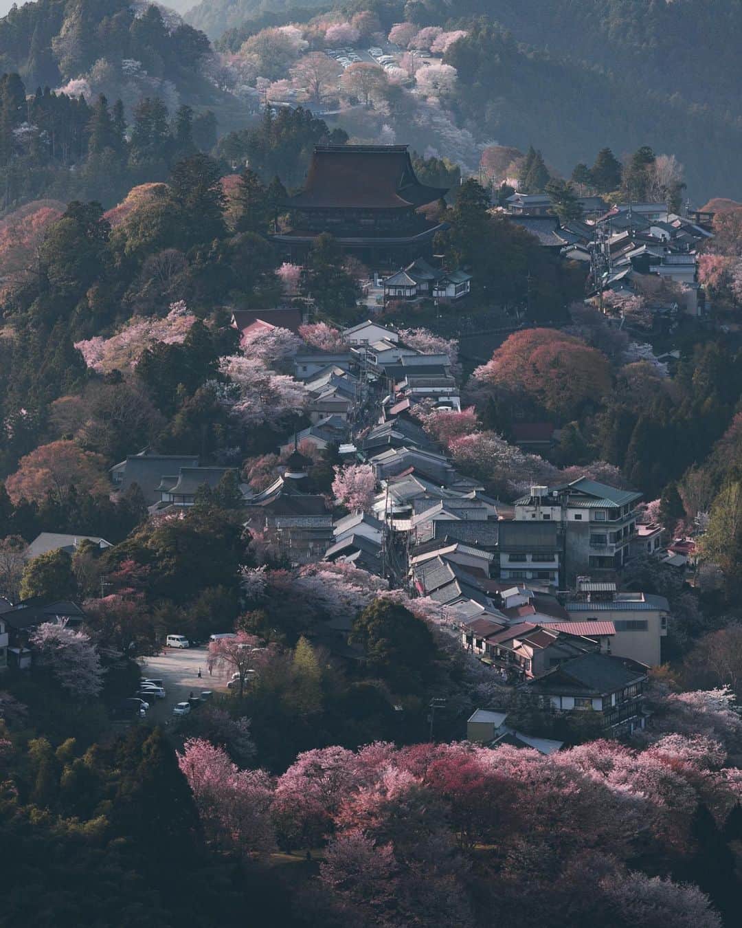 Yuma Yamashitaのインスタグラム：「#hellofrom Nara Prefecture #inspirationcultmag」