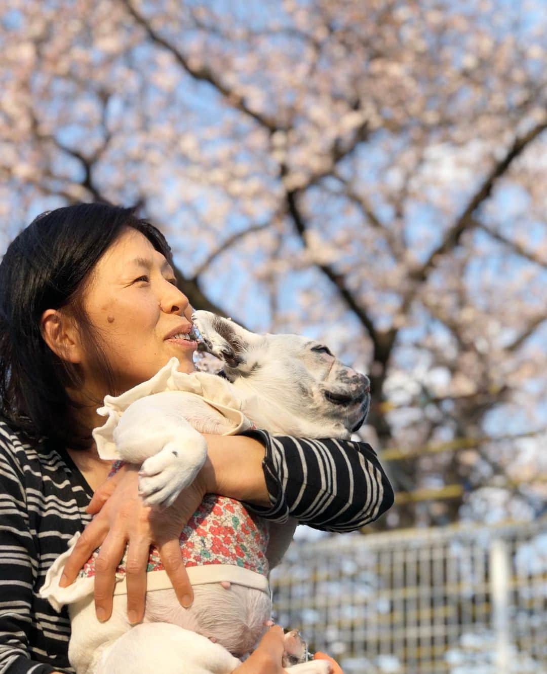 進藤やす子のインスタグラム