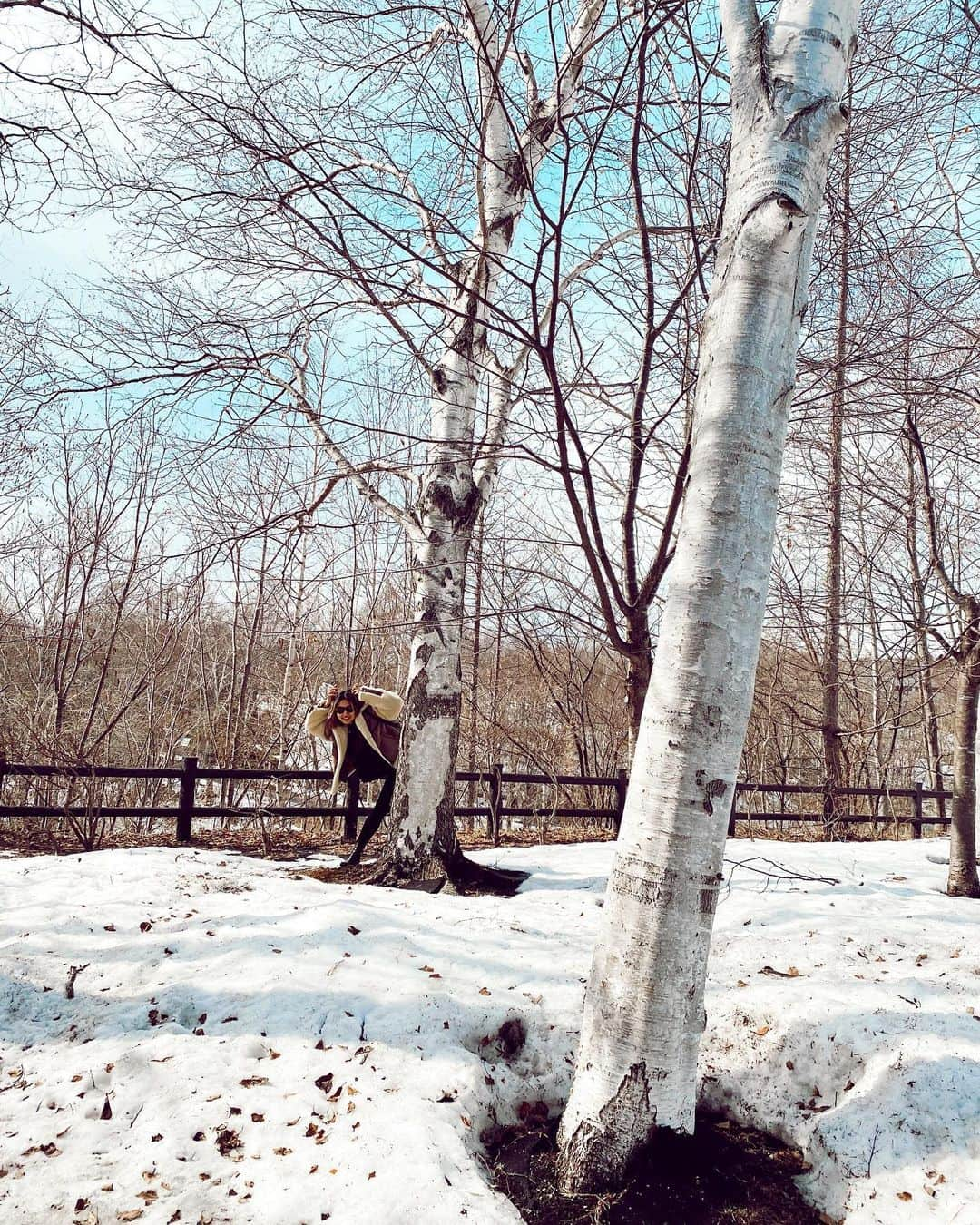 Rihwaさんのインスタグラム写真 - (RihwaInstagram)「I didn't expect that lots of snow are still remaining there in Hokkaido!❄️🌨☃️ And... I found a Rihwadeer!🦌(My leg😂) . . . #Rihwa #snow #Hokkaido #Sapporo #白樺　#whitebirch」3月23日 14時16分 - rihwa_official