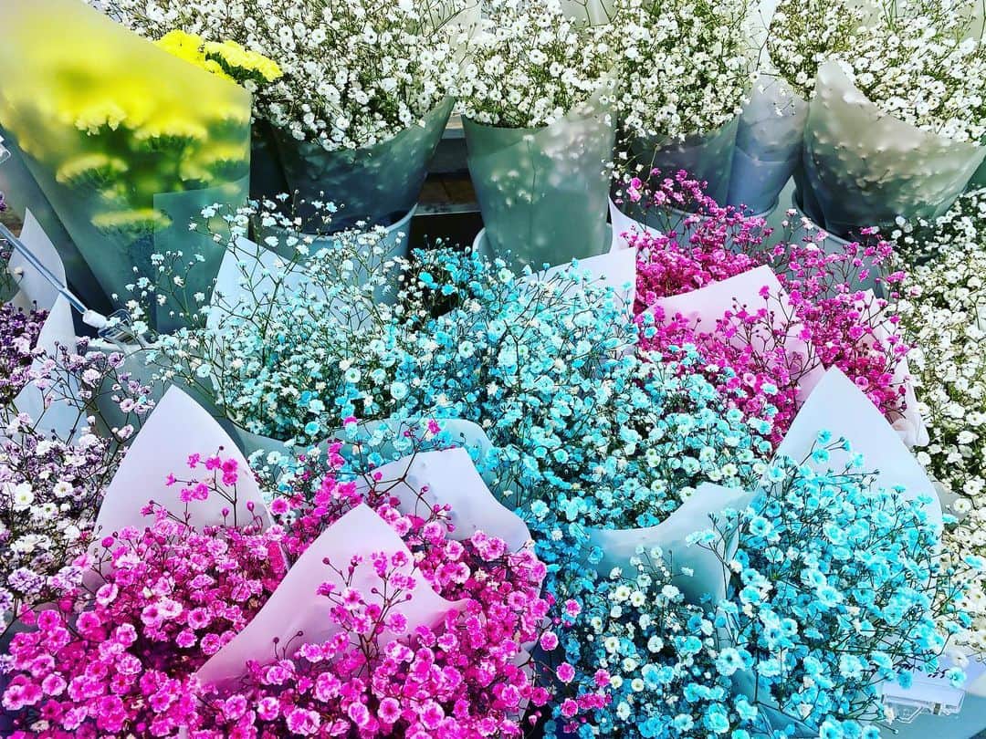 とぎもちさんのインスタグラム写真 とぎもちinstagram 韓国 お花屋さん通りがかったら すごく綺麗なカスミソウが でも本来は 初夏のお花らしい 白 ピンク 水色ですごく可愛い 花言葉は 親切 純潔 感謝 幸福だそう 花言葉