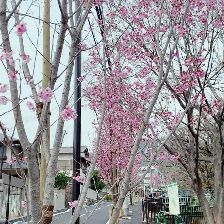 森夏子のインスタグラム