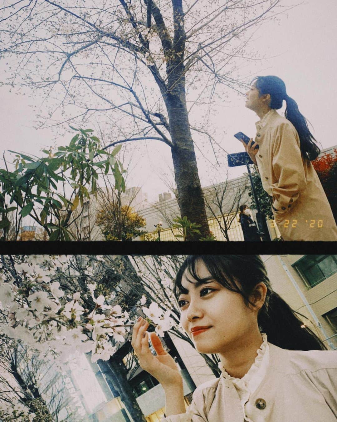 松岡美沙さんのインスタグラム写真 - (松岡美沙Instagram)「桜と私 . 友達にいっぱい撮ってもらったど~ . 公園のトイレの鏡がまるって可愛くてとっちゃった😌 . . . #桜  #🌸 #sakura  #japan」3月23日 16時41分 - matsumisa1129