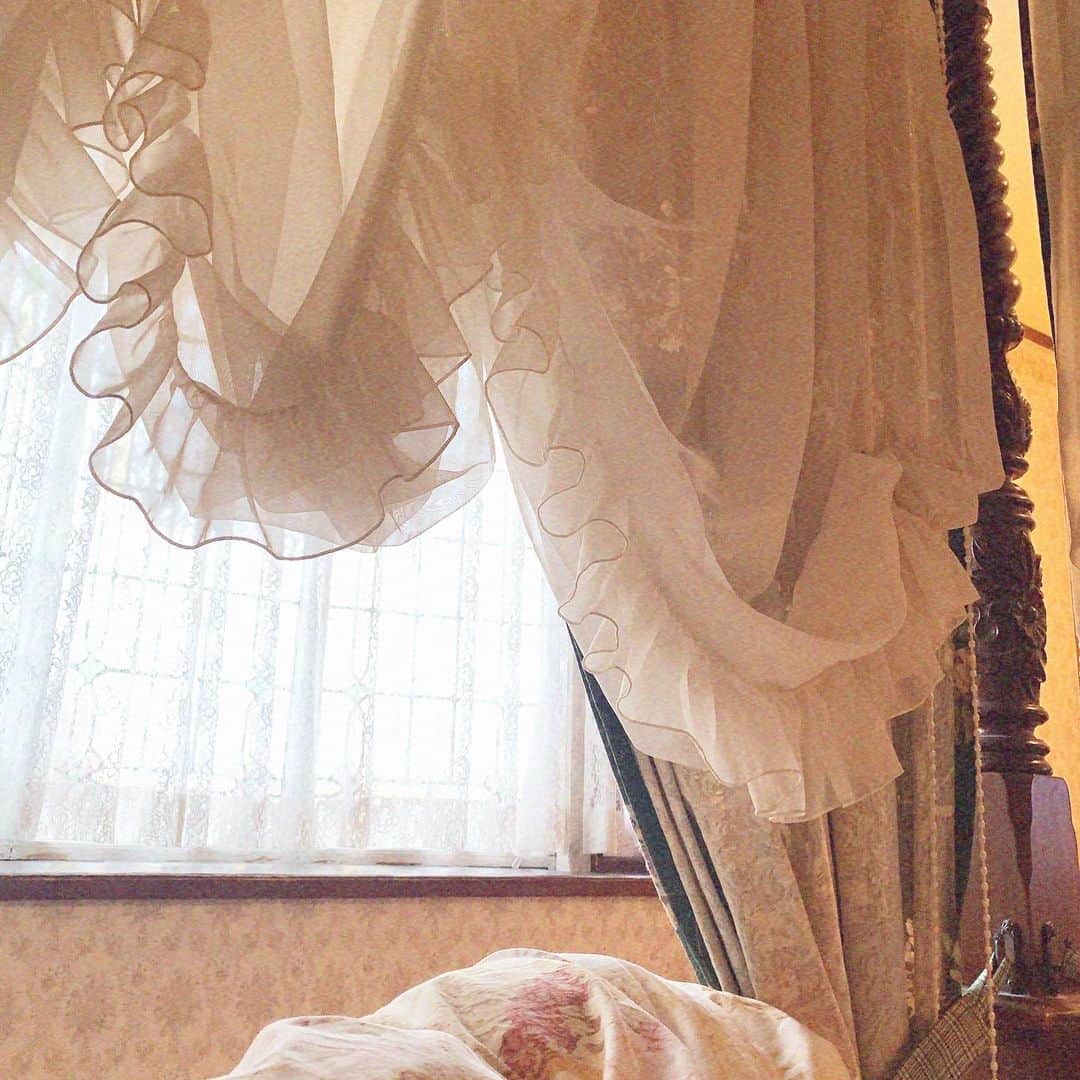 酒元麻衣（まいへー）のインスタグラム：「起きた時いつも この景色ならいいのに…🕊♡」