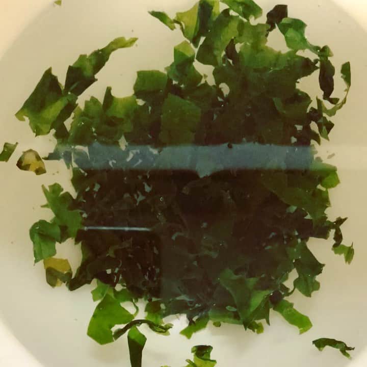 田中セシルのインスタグラム：「* わかめが増える様子☺︎ Swelling seaweed. * #水戻し #わかめ #ワカメ #seaweed  #タイムラプス #timelapse」