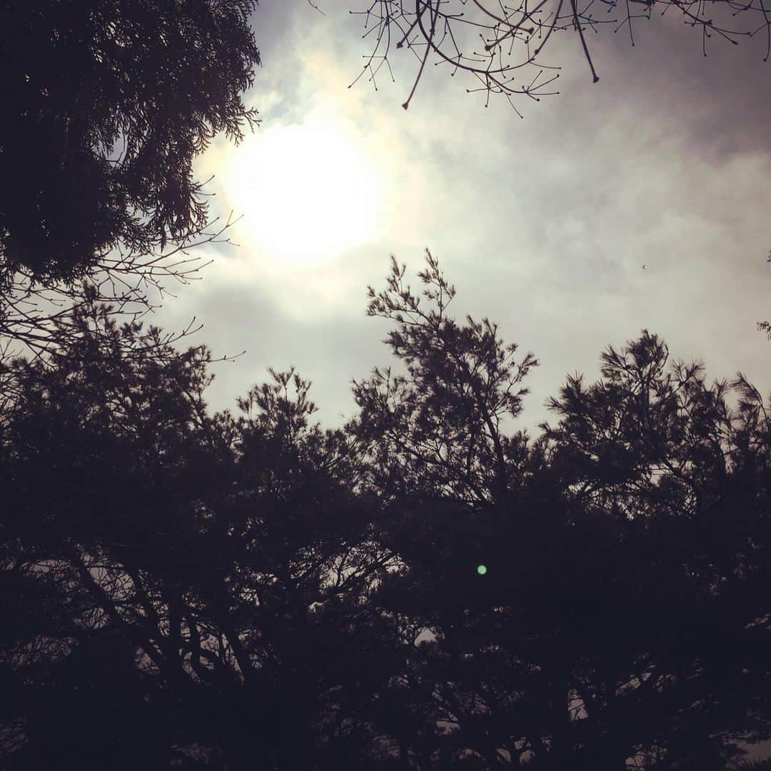 橋本昌彦さんのインスタグラム写真 - (橋本昌彦Instagram)「さやかさんが 瀬織津姫様へお参りに行きたいということで  雪道をかきわけてたどり着きました  #六甲山 #瀬織津姫 #雪景色 #いつもありがとうございます #未来への道 #やり遂げられますように」3月23日 17時11分 - masahikohashimoto