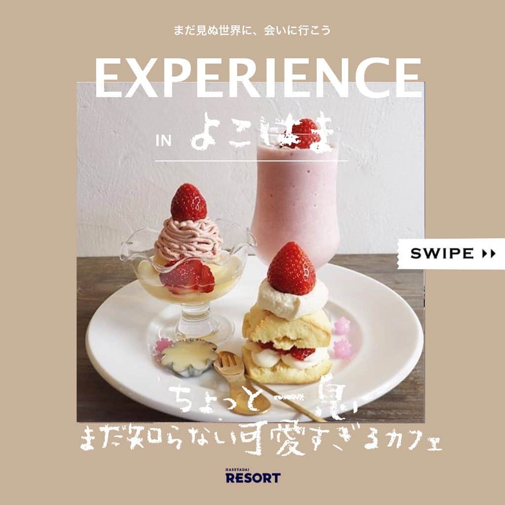 かぼちゃの馬車【公式】のインスタグラム：「📝 #トラバイ_カフェ﻿ 買い物や観光地巡りの合間にちょっと一息つきたい可愛すぎるおしゃれカフェ３選﻿ ﻿ 🍮 しょうゆ きゃふぇ ﻿ 🚶‍♂️ 「石川町駅」より徒歩10分﻿ ﻿ 元祖生プリン！！﻿ 可愛いニワトリから濃厚な黄身をが出てくるのもたまらない💓﻿ エリスマン邸だったのが元町商店街に移動して行きやすくなりました😊﻿ ﻿ 🍰フランス菓子 メーテルリンク﻿ 🚶‍♂️「横浜駅」より徒歩10分﻿ ﻿ つぶらな瞳とフォルムが愛くるしいメレンゲ菓子のカニッシュ🐩﻿ 可愛いカニッシュが甘いのでコーヒーと相性抜群です！﻿ ケーキの1つのサイズが大きすぎないから2つ頼んでも余裕で食べれちゃう♪﻿ ﻿ 🍓Little Village Cafe﻿ 🚶‍♂️「山手駅」より徒歩4分﻿ ﻿ 横浜の高級住宅街にあるお洒落なカフェ☕️﻿ 元々移動販売をメインにしていたLittle Village Cafeがついに初出店！﻿ 旬なフルーツを使ったデザートが絶品✨﻿ 朝食もあるので朝から夕方まで長く楽しめます！﻿ ﻿ ＿＿＿＿＿＿＿＿＿＿＿＿＿＿＿＿＿﻿ ﻿ 「トラバイ」では『旅するように暮らす』ことや、『自分の知らなかったことに出会う』うことができます。﻿ ﻿ 場所にとらわれず人生をエンジョイしよう！﻿ 沖縄から北海道まで！﻿ ﻿ 仕事と住まいがセットになったトラベルバイトなら「トラバイ」﻿ 新しいライフスタイルを、トラバイで実現しませんか。﻿ ﻿ LINE@で簡単に相談可能！▶️@hassydai.resort﻿ ＿＿＿＿＿＿＿＿＿＿＿＿＿＿＿＿＿﻿ ﻿ 『 #トラバイ_〇〇』のタグをつけてみなさんのおすすめを投稿してください！﻿ ステキなリゾート地の写真を厳選してご紹介します！﻿ ﻿ ＿＿＿＿＿＿＿＿＿＿＿＿＿＿＿＿」