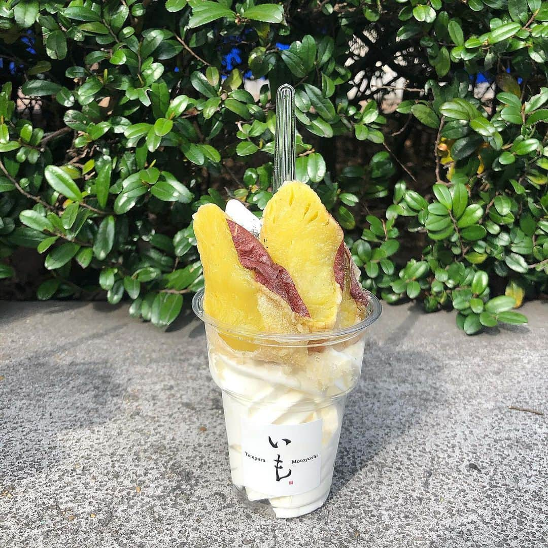 明星あゆみさんのインスタグラム写真 - (明星あゆみInstagram)「🍦🍦🍦 . Tempura Motoyoshi いも 塩そふと九十 . . さつま芋の天ぷらは 1時間かけて揚げているらしい◎ . . . #天ぷら元吉 #天ぷら元吉いも  #塩そふと丸十 #代官山カフェ #tempuramotoyoshiいも」3月23日 17時42分 - ayumi_myojo