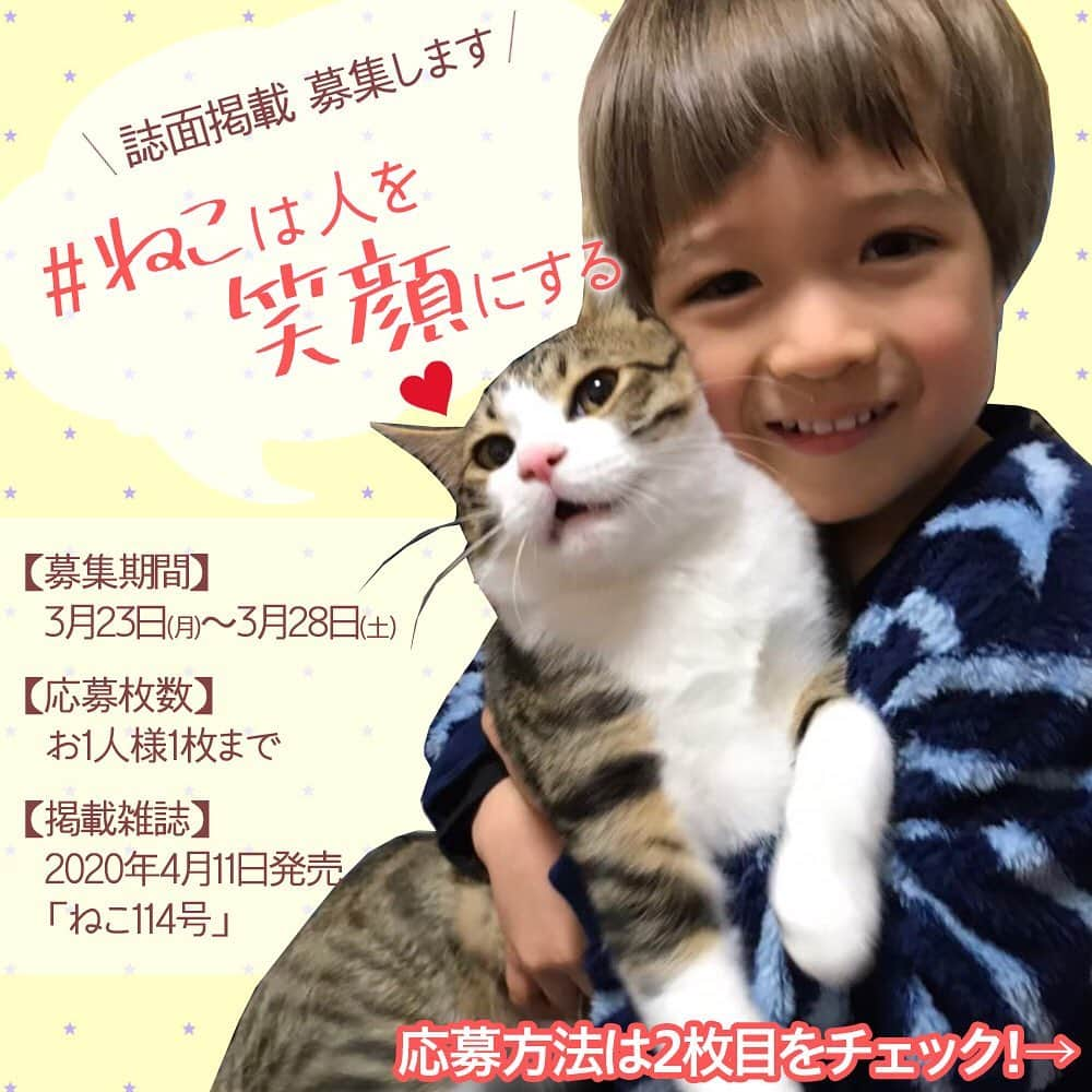 ねこさんのインスタグラム写真 - (ねこInstagram)「先日から皆さんにたくさん投稿頂いている、【#ねこは人を笑顔にする】企画❣️参加してくださってる皆さま本当にありがとうございます😊✨ インスタでの投稿募集は引き続き継続しつつ、今度は同じテーマで誌面掲載募集をします❣️❣️ こんな時期だからこそ、可愛い＆面白いねこちゃんの写真でみんな笑顔になりましょう😚🌈イェイ✌️ ご応募頂いたお写真の中から選ばせて頂き、見事当選された方のお写真は来月4月11日発売予定の「ねこ 114号」で掲載させて頂きます🌻 ※インスタで投稿してくださってる写真と被ってもOKです❣️👏🏻 詳しい応募方法は2枚目をご覧ください👅✨ ご応募はお一人様1枚まで🙆‍♀️❗️思わずクスっと笑顔になってしまう写真ドシドシご応募願います🙇‍♂️❤️❤️ もちろん、インスタでのハッシュタグ投稿募集も継続してますのでこちらもよろしくです🥰💕 #neko_magazine #NEKONOBA #ねこマガジン #ネコノバ #ねこ #猫 #cat #catstagram #cat #ねこは人を笑顔にする」3月23日 18時07分 - neko_magazine