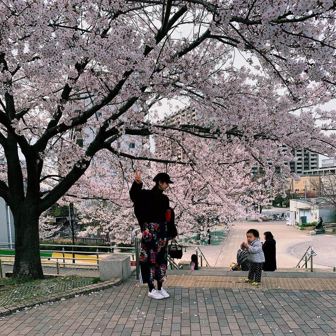 蛭川怜奈のインスタグラム：「公園の桜満開🌸だった✌️💐 たくさんお花見行けるかなぁ🥰 #桜」