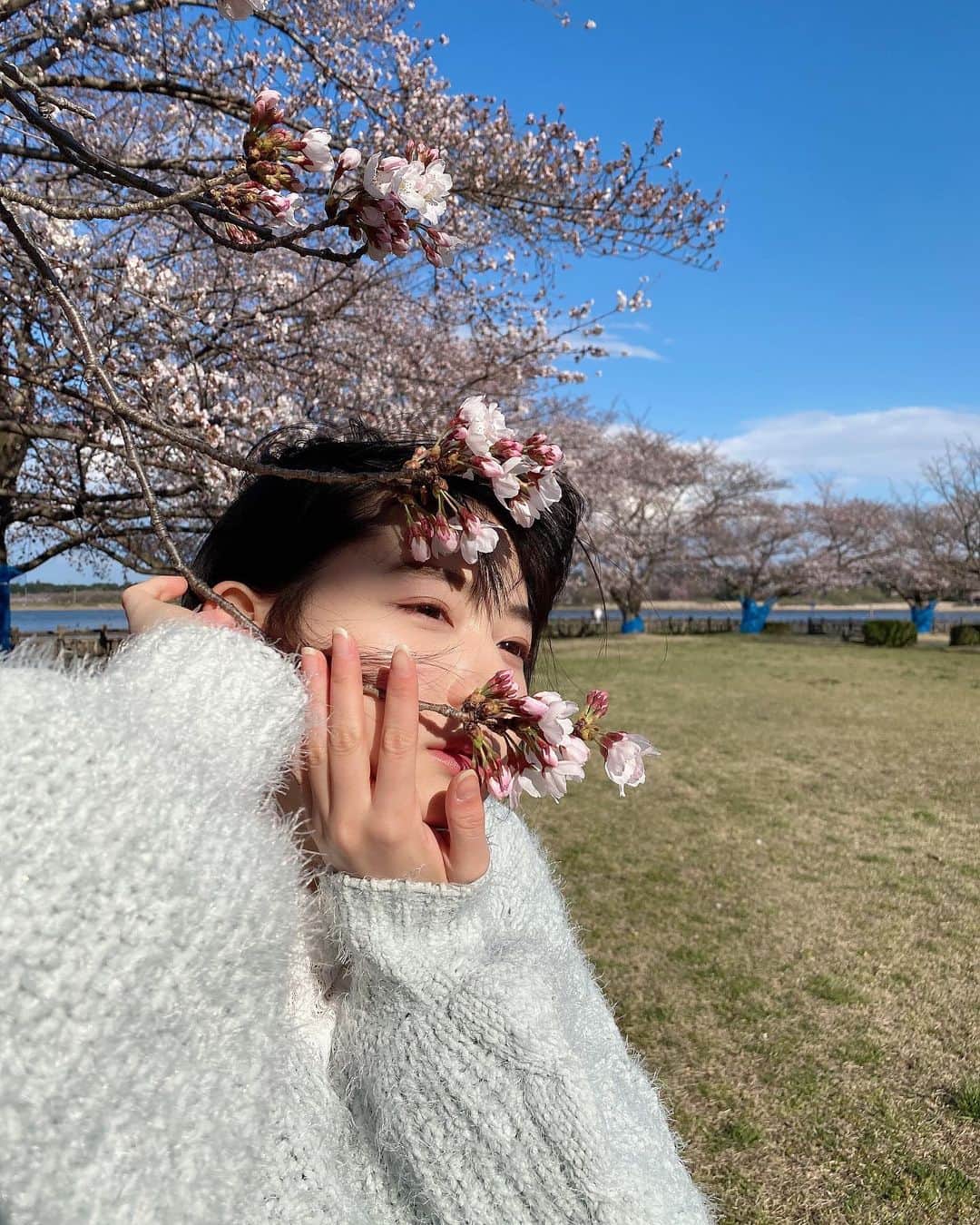 小室ゆらさんのインスタグラム写真 - (小室ゆらInstagram)「.﻿ ﻿ ﻿ 桜咲いてた〜っ🌸🤳﻿ ﻿ レジャーシート広げてのお花見は出来ないけど、﻿ 散歩しながら沢山の人が桜を見ててほっこり ︎︎︎︎✌︎﻿ 私も負けじとぱしゃぱしゃしてきました🥱📸﻿ ﻿ いっぱい歩いたらお腹すいた ︎︎︎︎✌︎﻿ ﻿ ﻿ ちなみに2枚目のテーマは壇蜜さんです……🤔﻿ ﻿ ﻿ .」3月23日 19時16分 - komuro_yura_official