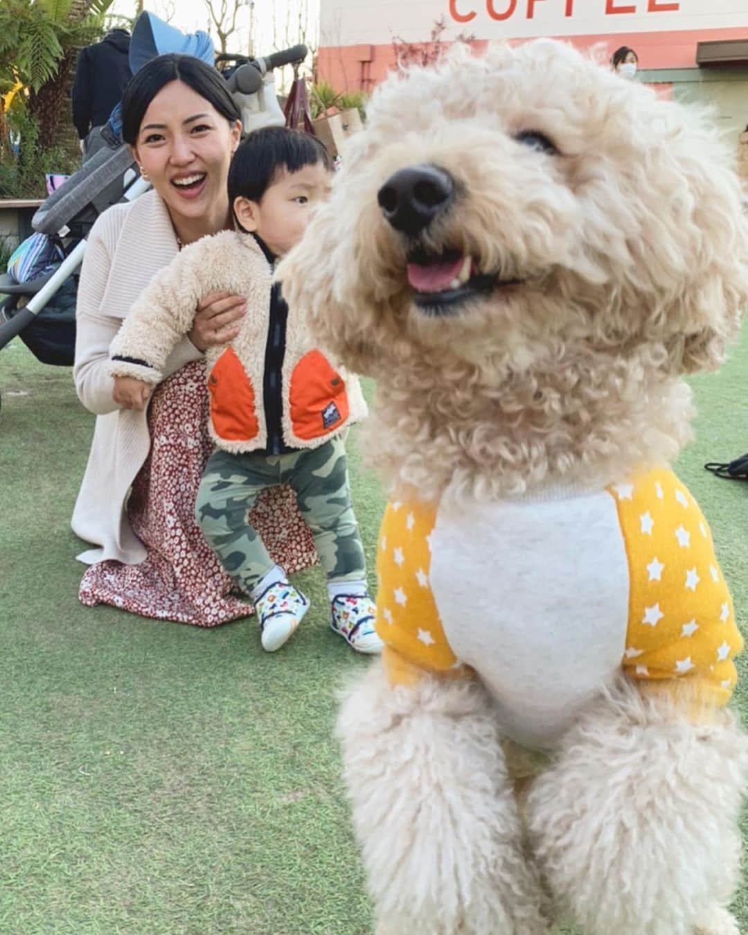 DJ Cellyさんのインスタグラム写真 - (DJ CellyInstagram)「はぴふら会🐩. 今回は甥っ子も一緒に☺️楽しそうにしてくれてて、嬉しかったな♡♡. . ああ可愛い子たち🥺♥️♥️！ 相変わらず、何度見ても、はっぴーがデカい🤣🤣🤣！ 癒されて、楽しかった♡. . #いいっすね！  #休日 #三連休 #お散歩 #シェアグリーン #シェアグリーン南青山  #toypoodle #teacuppoodle #トイプードル #トイプードルレッド #トイプードル女の子 #トイプー #ilovemydog #dogstagram #いぬすたぐらむ  #わんすたぐらむ #ティーカッププードル #エブリドッグ  #fluffy #fluffydog #タレ目犬 #toypoodlelife #toypoodlegram #はぴふら」3月23日 19時30分 - celly_cecilia