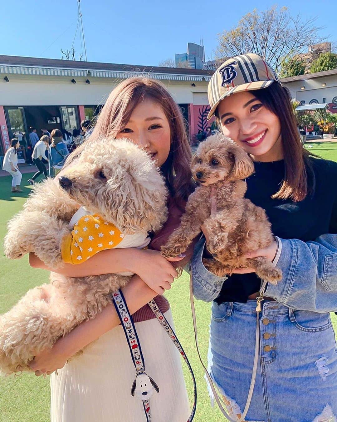 DJ Cellyさんのインスタグラム写真 - (DJ CellyInstagram)「はぴふら会🐩. 今回は甥っ子も一緒に☺️楽しそうにしてくれてて、嬉しかったな♡♡. . ああ可愛い子たち🥺♥️♥️！ 相変わらず、何度見ても、はっぴーがデカい🤣🤣🤣！ 癒されて、楽しかった♡. . #いいっすね！  #休日 #三連休 #お散歩 #シェアグリーン #シェアグリーン南青山  #toypoodle #teacuppoodle #トイプードル #トイプードルレッド #トイプードル女の子 #トイプー #ilovemydog #dogstagram #いぬすたぐらむ  #わんすたぐらむ #ティーカッププードル #エブリドッグ  #fluffy #fluffydog #タレ目犬 #toypoodlelife #toypoodlegram #はぴふら」3月23日 19時30分 - celly_cecilia