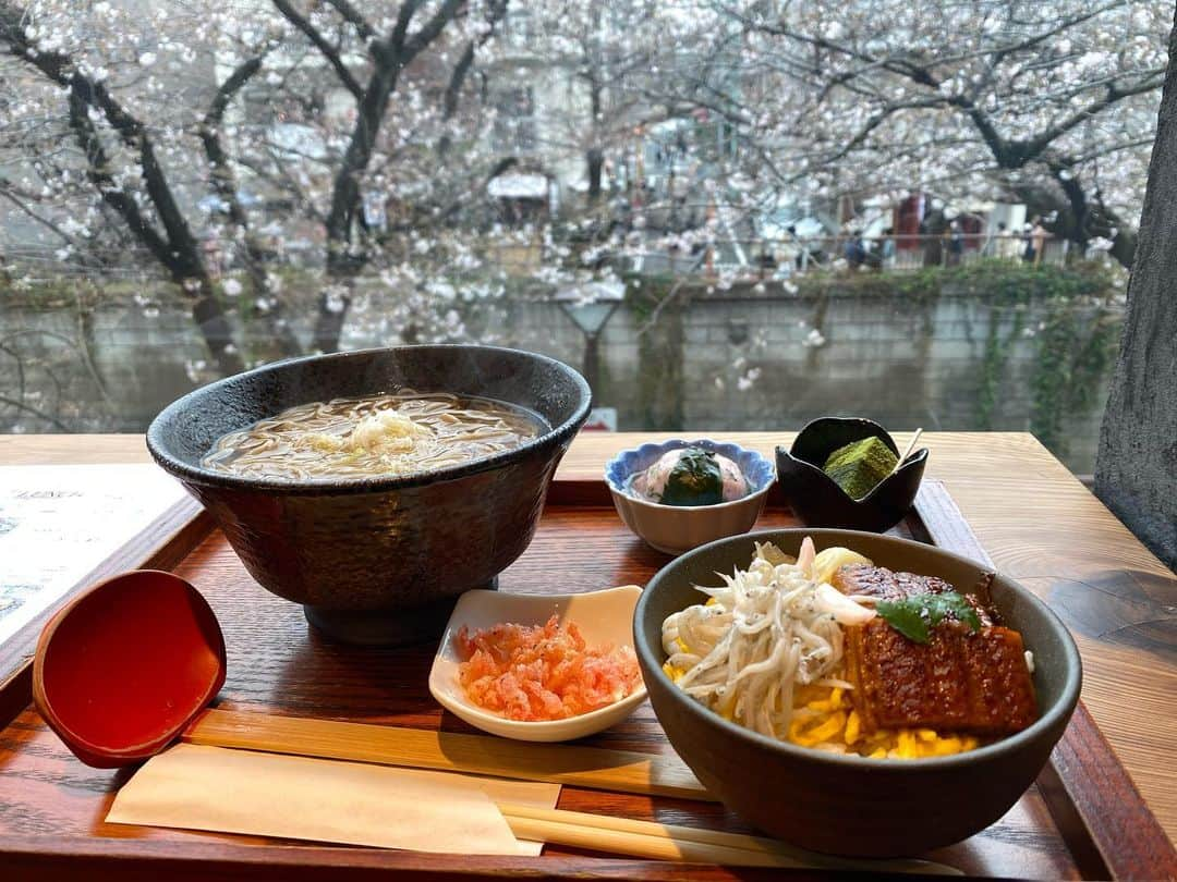 大友陽平さんのインスタグラム写真 - (大友陽平Instagram)「SAKURA2020 🌸 目黒川沿いの「LDH KICHEN IZAKAYA AOBADAI」でお花見ランチ🍢 🌸 桜海老たぬきそばと、鰻とシラスの二色丼のセット。桜を見ながら、美味しゅうございました🤤 🌸 #桜 #SAKURA #春は必ず来る #SPRING @ldhkitchen_official @izakaya_aobadai  #橘ケンチ @kenchitachibana」3月23日 19時54分 - nikkan_ohtomo