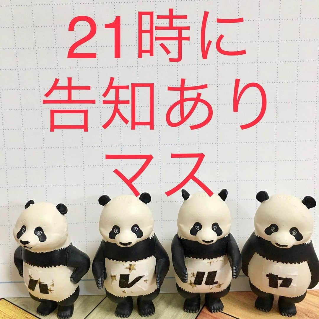 ISEKIのインスタグラム：「この後21時に告知あります✨」