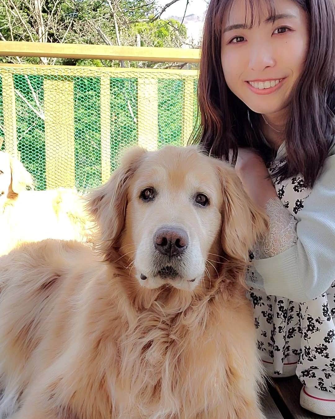 小谷津友里のグルメインスタ