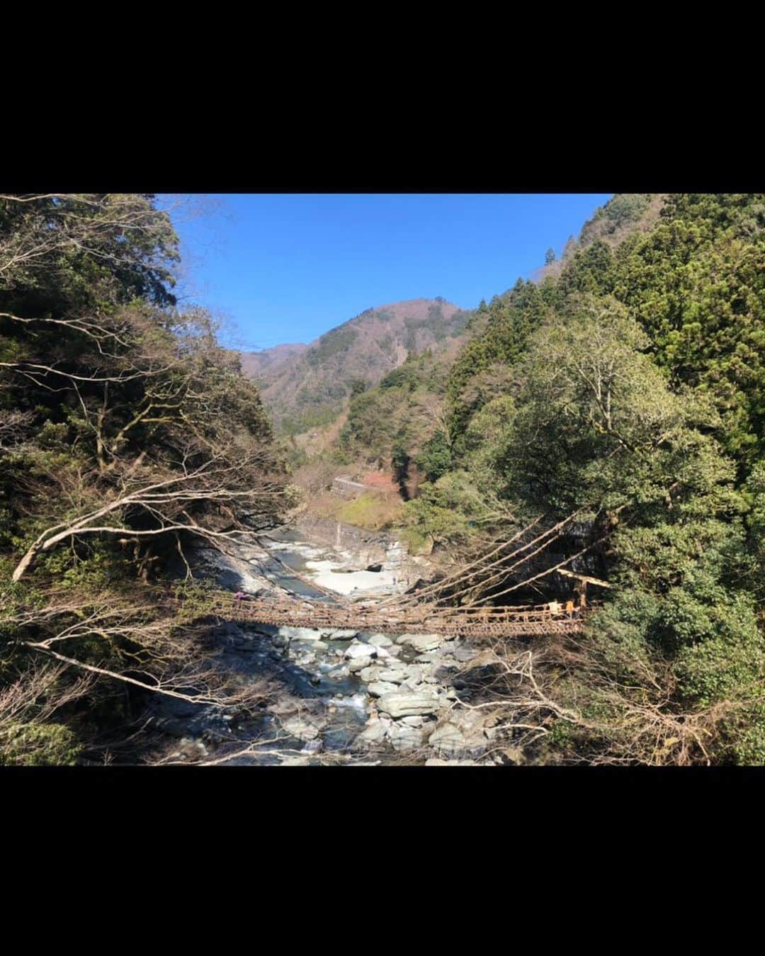 島屋八徳さんのインスタグラム写真 - (島屋八徳Instagram)「初かずら橋〜🤗 こちら方面はなかなか 行く機会がなくて 初めて来たけど マイナスイオンの 宝庫でした🏞  自然に癒されて また頑張れそうです💯  試合がなくて 寂しい思いをしてる方々 選手も非公開の練習続きで 寂しい思いは同じです😷 みんなの元気と笑顔のために みんなで乗り越えて またポカスタで 盛り上がりましょう🤙  #徳島いいとこ #徳島ヴォルティス #かずら橋 #想像以上に隙間ある #息子の顔が物語る #コロナに負けるな #ブラセグチ #間違えた #ブラシマヤ #瀬口に負けるな」3月23日 20時36分 - 82ys_official