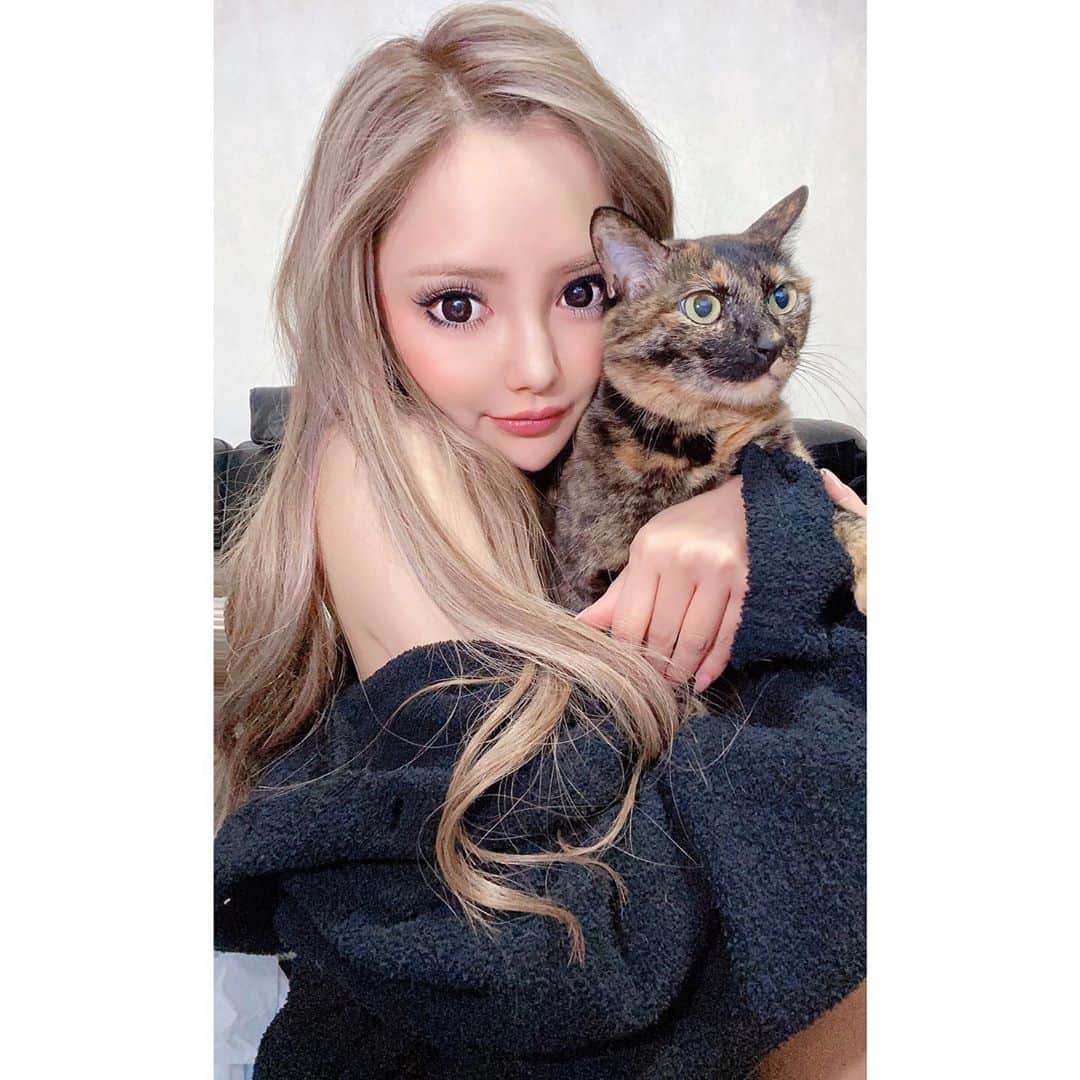 葉月芽生さんのインスタグラム写真 - (葉月芽生Instagram)「私の宝物👑💕💕 #拾ってきた #サビ猫  #10歳  #おやすみ」3月24日 6時14分 - mei_hazuki