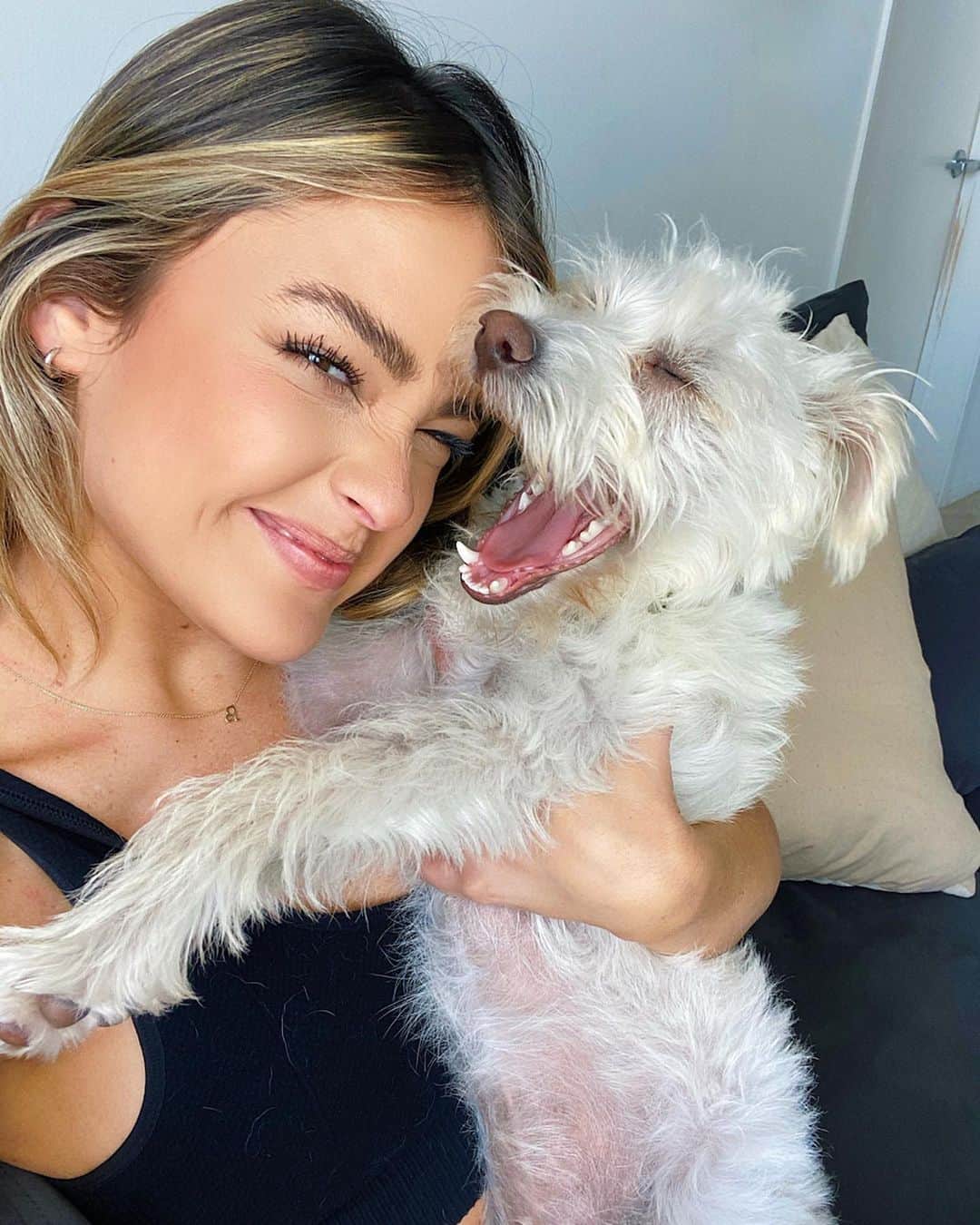 ヴェール・ゲンタのインスタグラム：「My dude @wilsontherescue 🤍 #NationalPuppyDay」
