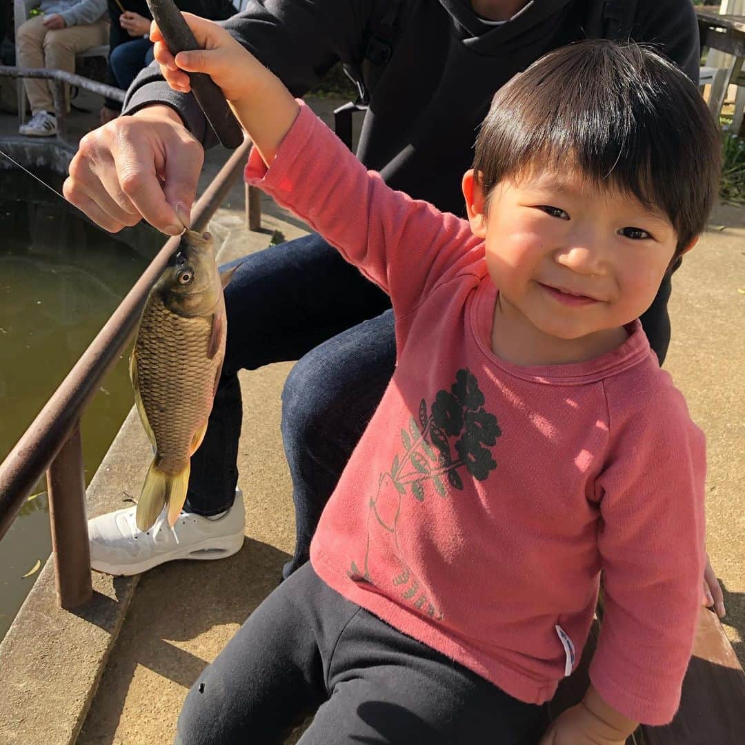 中村香織さんのインスタグラム写真 - (中村香織Instagram)「先日成田ゆめ牧場に行ってきました☺️ 牛さん、アヒルさん、ヤギさんいっぱいいる中で一番興奮していた釣り堀。笑 入れ食いで、かなり魚釣りにはまったよう。 きっぺいくんも釣りしてる姿をじっと見つめる。 将来3人で釣りに行くのかな😅  #成田ゆめ牧場  #そうすけ#3歳7ヶ月 #きっぺい#1歳6ヶ月  #そうすけはひらがなが読めるようになりました #友達にパンチされても怒りません #きっぺいは走るようになりました #頭が重くてよく転けます」3月24日 6時37分 - kaori_nakamura1001