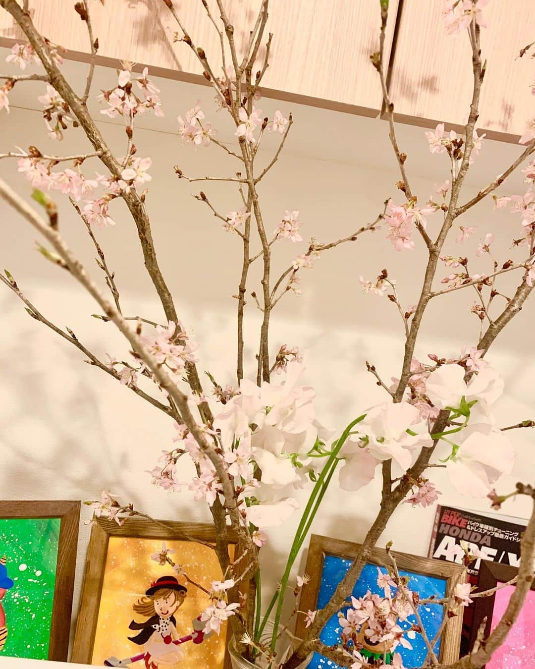 ボン溝黒さんのインスタグラム写真 - (ボン溝黒Instagram)「帰りに花屋で桜の花50％OFFでした。 #家でお花見できるんや #スイートピーと一緒に花瓶に入れたら相性良いですと言われ #全部で900円でした #バイクで帰ったので半分くらい散りましたが #それでもこんなに綺麗 #うちのお手洗いでお花見出来ますよ #良い匂い #町の花屋さんはお買い得 #親切 #華たぎる #切り花 #翁桜 #スイートピー #春の花」3月23日 22時47分 - bontheworld