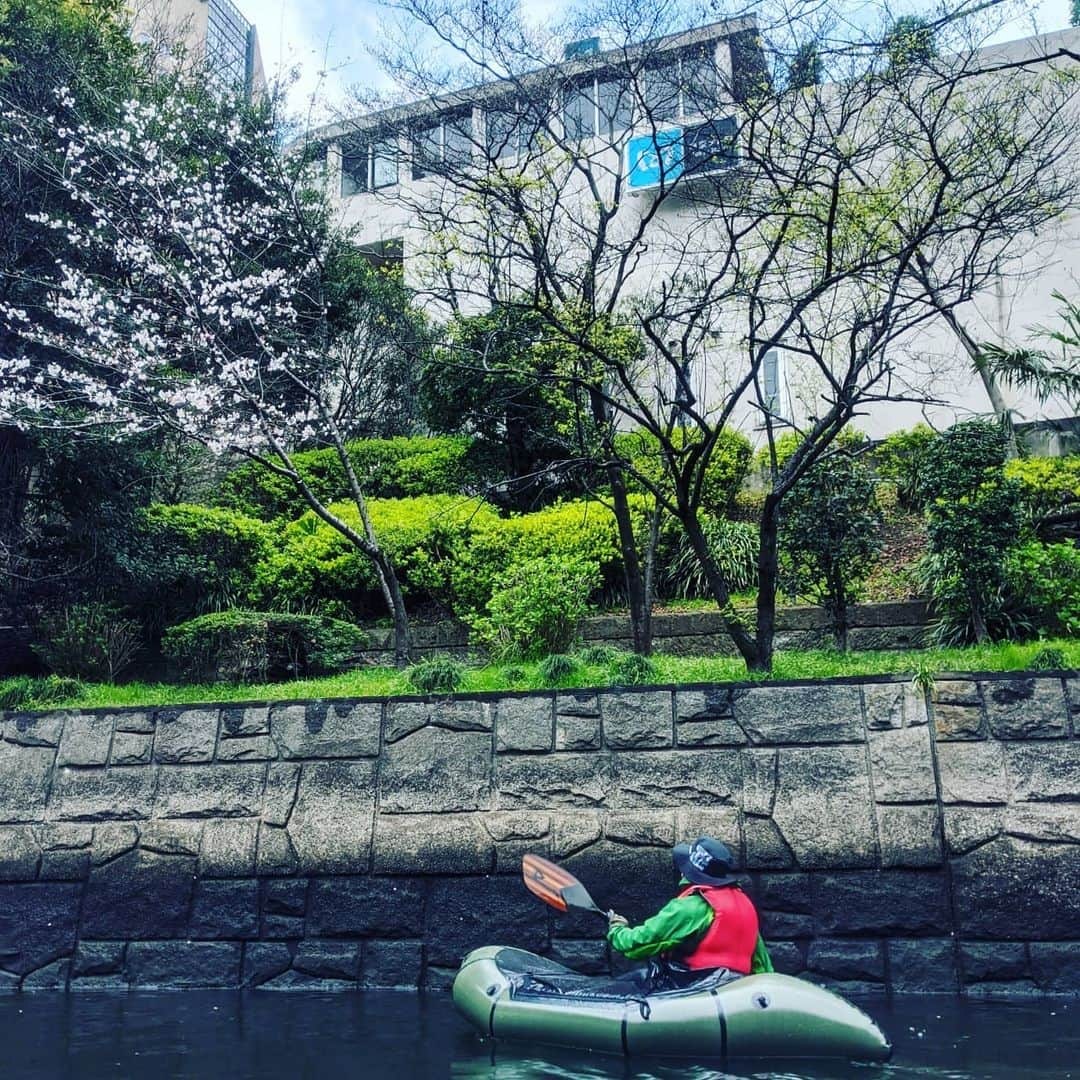 山下晃和さんのインスタグラム写真 - (山下晃和Instagram)「【OUTDOOR】毎年恒例のパックラフト東京お花見ツーリング  JR総武線、東京メトロ丸の内線などを真下から見る迫力  両国橋や万世橋をくぐる時の響き渡る声  まさかの エイに突かれるというビックリ仰天ハプニング  巨大な魚が跳ねて目の前を通過したり  鳥たちがフンを落としてきたり  水面から見上げるスカイツリーもアサヒビールのホップウンチも  予想に反して少ししかなかったサクラも  何もかも夢を見てるかのようなトーキョーのラビリンスにようこそ！！ #パックラフト #packraft #お花見 #桜 #sakura #Tokyo #Jaoan #river #paddle #モンベル #東京 #東京スカイツリー #keen #KEENJAPAN #keenambassador  #今日もKEENを履かなくちゃ #東京メトロ #SUBWAY」3月23日 22時48分 - travel_akikazoo