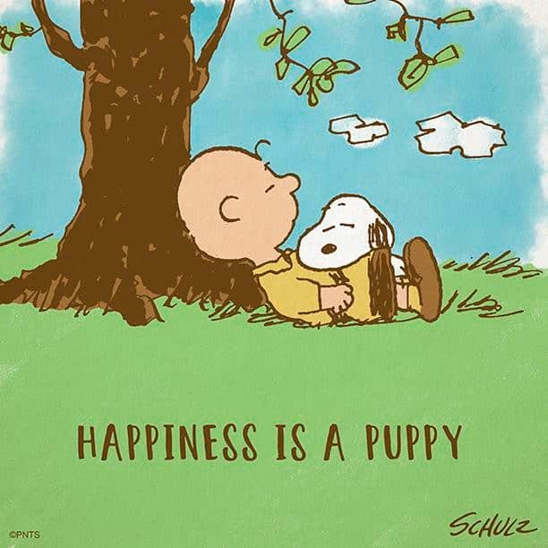 スヌーピーさんのインスタグラム写真 - (スヌーピーInstagram)「Happiness is having a puppy #NationalPuppyDay」3月23日 23時19分 - snoopygrams