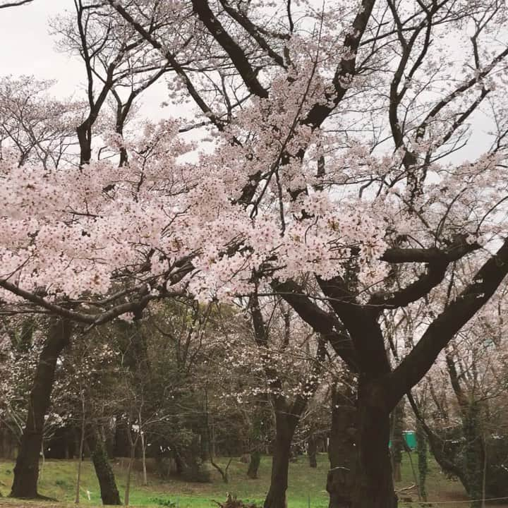 桑原りさのインスタグラム