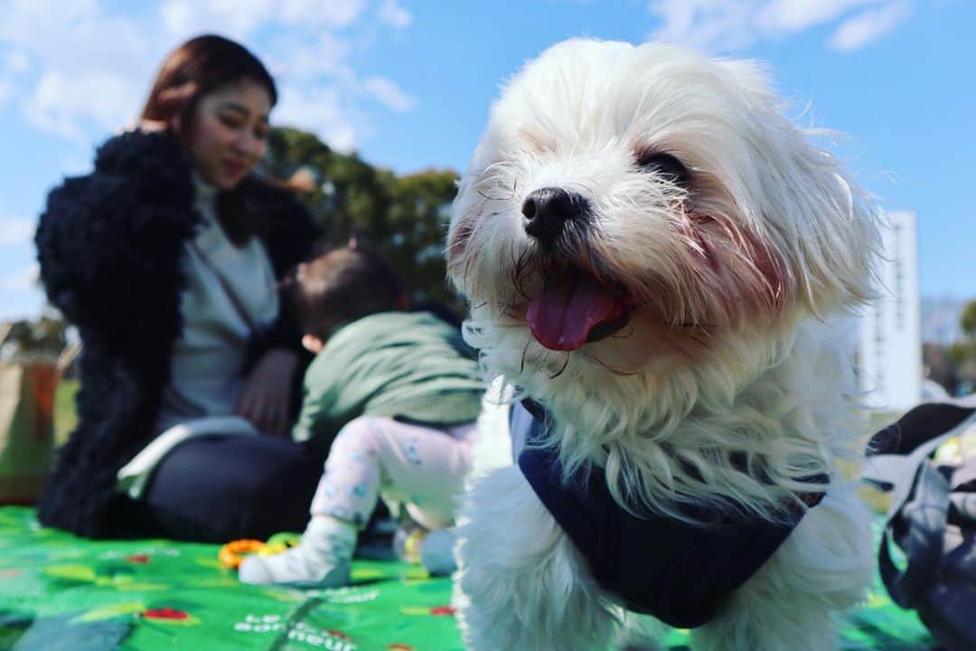 松田陸さんのインスタグラム写真 - (松田陸Instagram)「⚽️ 家族で公園ピクニック🌞 天気が良くて最高な日でした‼︎ #CEREZO #Dayoff #ココラキ」3月23日 23時54分 - riku_matsuda_02_official