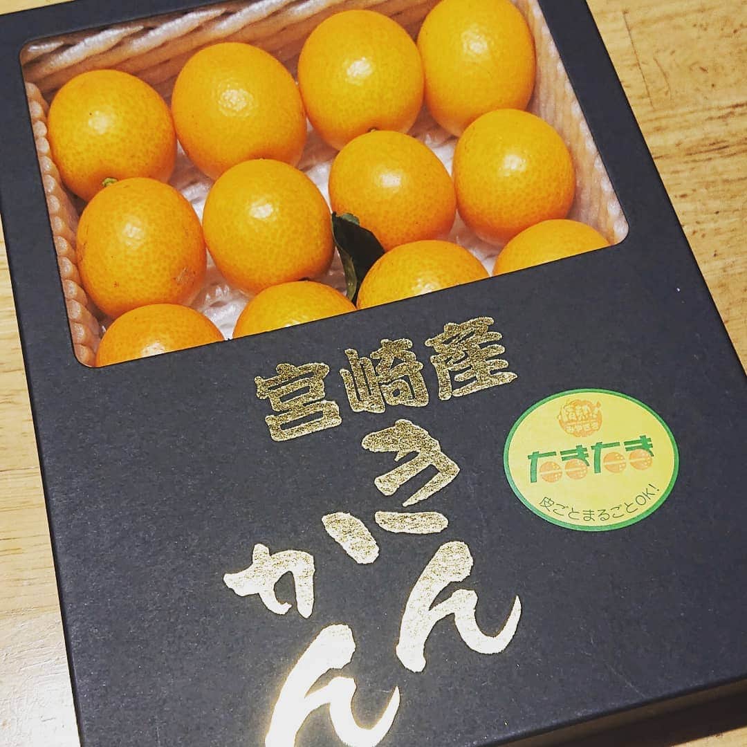 寺坂直毅さんのインスタグラム写真 - (寺坂直毅Instagram)「実家からたまたまが送られてきました。」3月24日 0時01分 - aiamu_terasaka