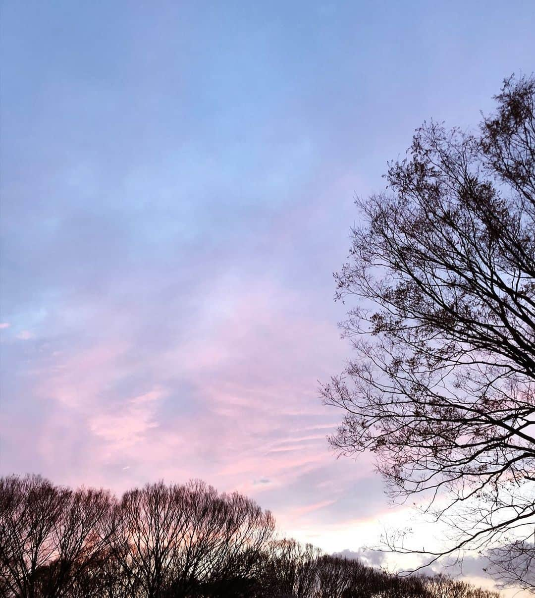 本郷多香子さんのインスタグラム写真 - (本郷多香子Instagram)「最近の気候と空が 好きすぎる✨  毎日公園行ってピクニックしたい🕺」3月24日 0時02分 - tkk0101