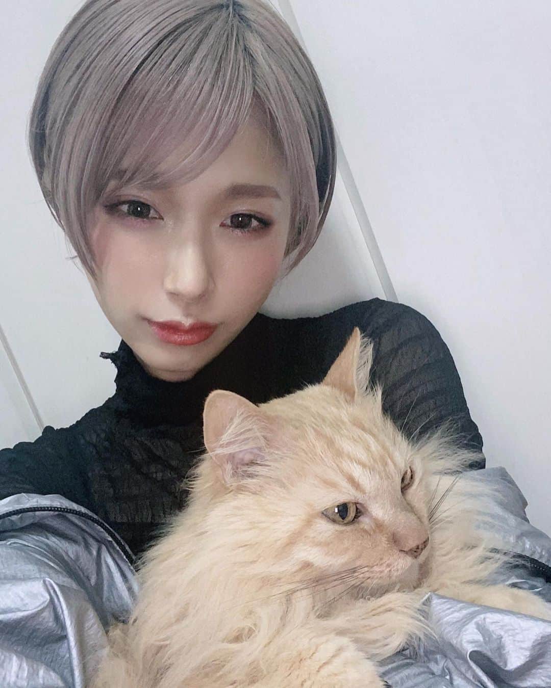 病夢やみいのインスタグラム：「フィガロさんのごはんをグレードアップしてみました🐟 今までのごはんの倍のお値段...！長生きてくれたら嬉しいし安全で美味しいものを食べてほしいので。  わたしはお金を稼ぐことに対して意欲が高いタイプではないですが、よく聞く家庭を持つと仕事ももっと頑張れる！みたいなやつが、めちゃくちゃ当てはまる人間な気がする。フィーちゃんにうまいめしくわせ続ける🔥  偶然画面見てたらファンの女の子たちからDMが届いたので投稿するか迷ってたけどしてみたよ！ 会えなくて寂しいけど明日も生きようう。」