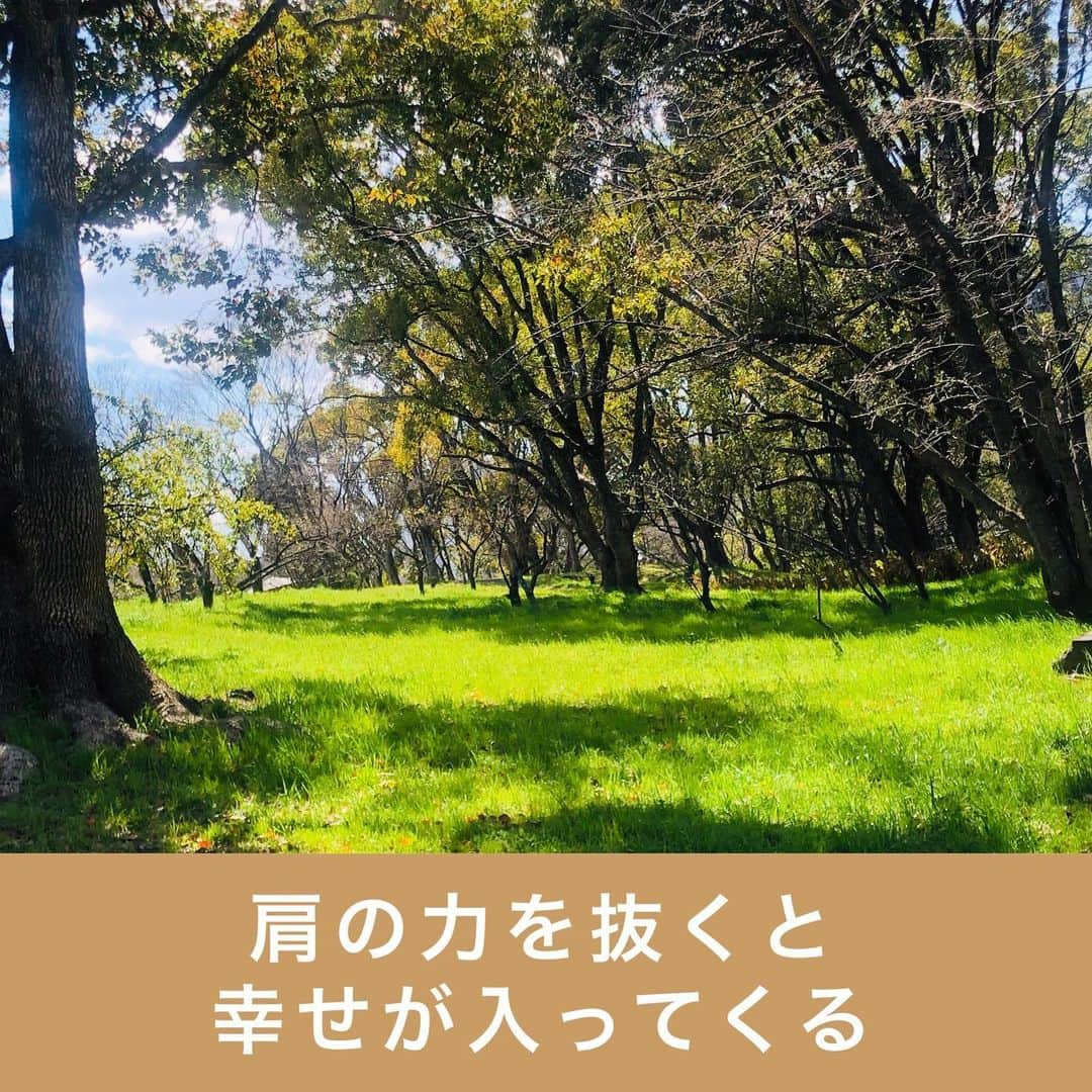 宮崎ともこさんのインスタグラム写真 - (宮崎ともこInstagram)「こうでなければいけない！ で、ガチガチになってると、  入るものも入ってこなくなりますね^ ^  もっと空を見上げるように 上を向いて  深く息を吸って 　春を感じてみてくださいね^ ^  こんなにも新緑は 輝いてることにも 気づいてほしいのです^ ^  テレワーク、在宅で仕事して すでに4年ですけど、  季節が良いと 公園などに出かけて 仕事できることが めちゃくちゃ幸せです！  コロナばかりみてないで  今の季節を楽しみましょーれ  #人生の幸不幸は脳の使い方が9割  #脳トレ トレーナー #新緑の季節  #公園散歩  #テレワーク  #公園で仕事  #春が来た  #コロナに負けるな  #肩の力を抜いて #深呼吸」3月24日 0時47分 - iionna_happysmilemiyatomo