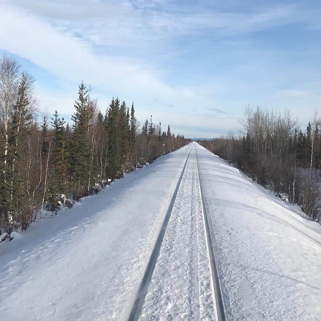 リサ・アンさんのインスタグラム写真 - (リサ・アンInstagram)「Now is the perfect time for a serious of throwback photos from my previous travels inspired by @kenagonio since she created this content for us all to enjoy! This was the first stop in our journey, Fairbanks, Alaska where spent the days playing In the snow! We took the train to Anchorage & I snapped that last shot out of the back of the #alaskarailroad #fairbanksalaska #Alaska #throwback #March2019」3月24日 1時19分 - thereallisaann