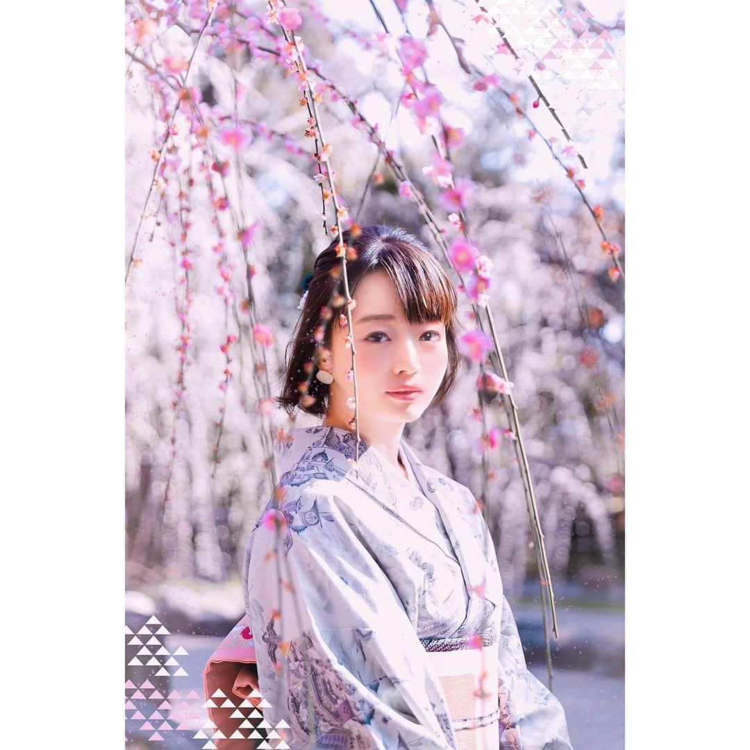 喜屋武ちあきさんのインスタグラム写真 - (喜屋武ちあきInstagram)「最近、心の友の種村有菜さんにクリスタの使い方を教えてもらって。﻿ 絵は書けないので、先日京都で撮影した写真をアレンジしてみた😊🌸﻿ ﻿ ﻿ テーマカラーは薄いピンク。目とかもお化粧するみたいに細かく筆を入れてあげました。﻿ 画像加工、楽しすぎて何時間でもやれるなあ。﻿ もっと上手になりたい。切実に、センスが欲しい。﻿ ﻿ ﻿ ﻿ #🌸 #春 #kimono #京都 #枝垂れ桃 #japanese #グラビア #着物 #shooting #クリスタ #clipstudio」3月24日 1時31分 - kyanchi