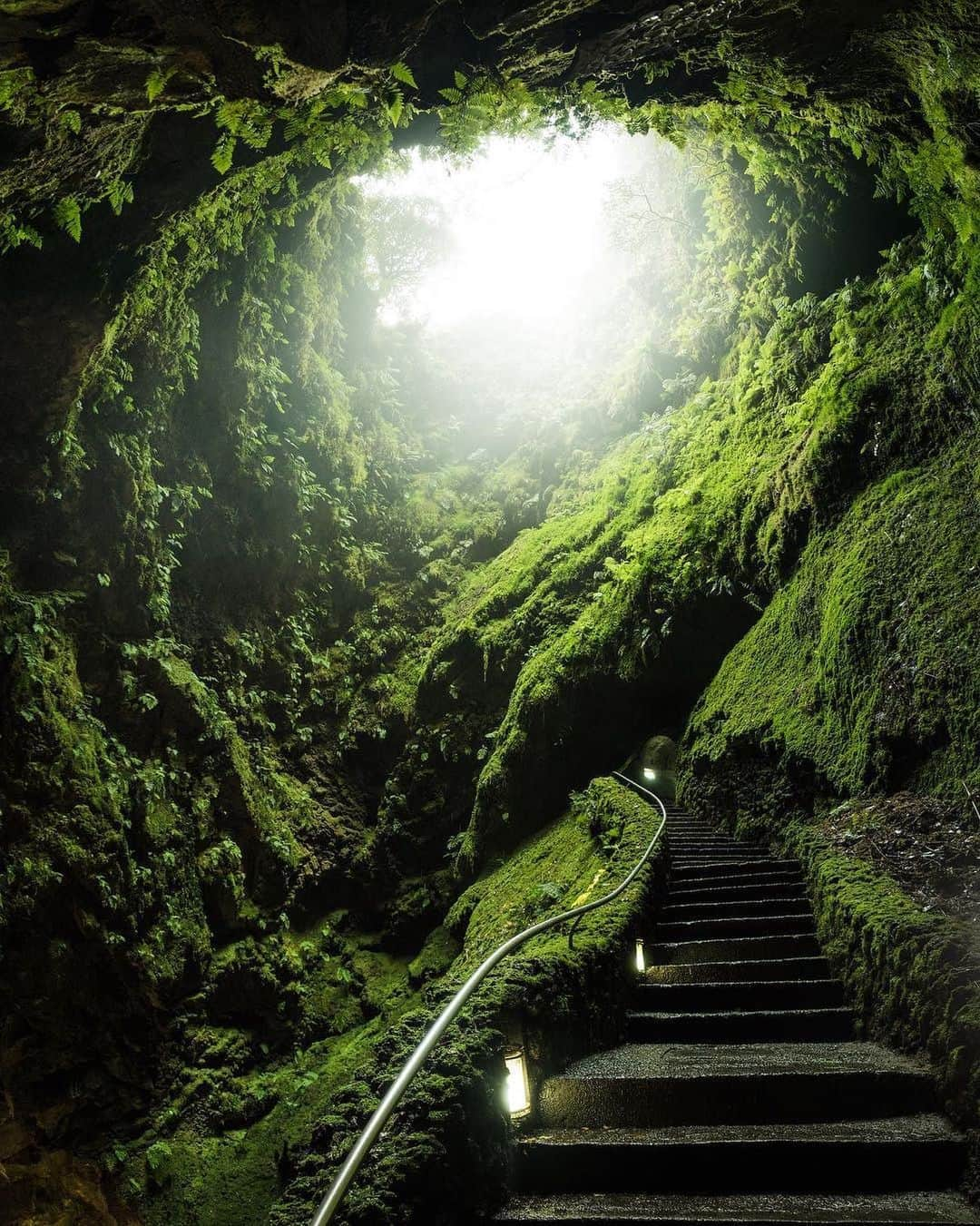 Earth Picsさんのインスタグラム写真 - (Earth PicsInstagram)「It’s a rain forest. Inside a volcano. With a lake at the very bottom. Terceira Island. By @nate_dodge」3月24日 1時41分 - earthpix