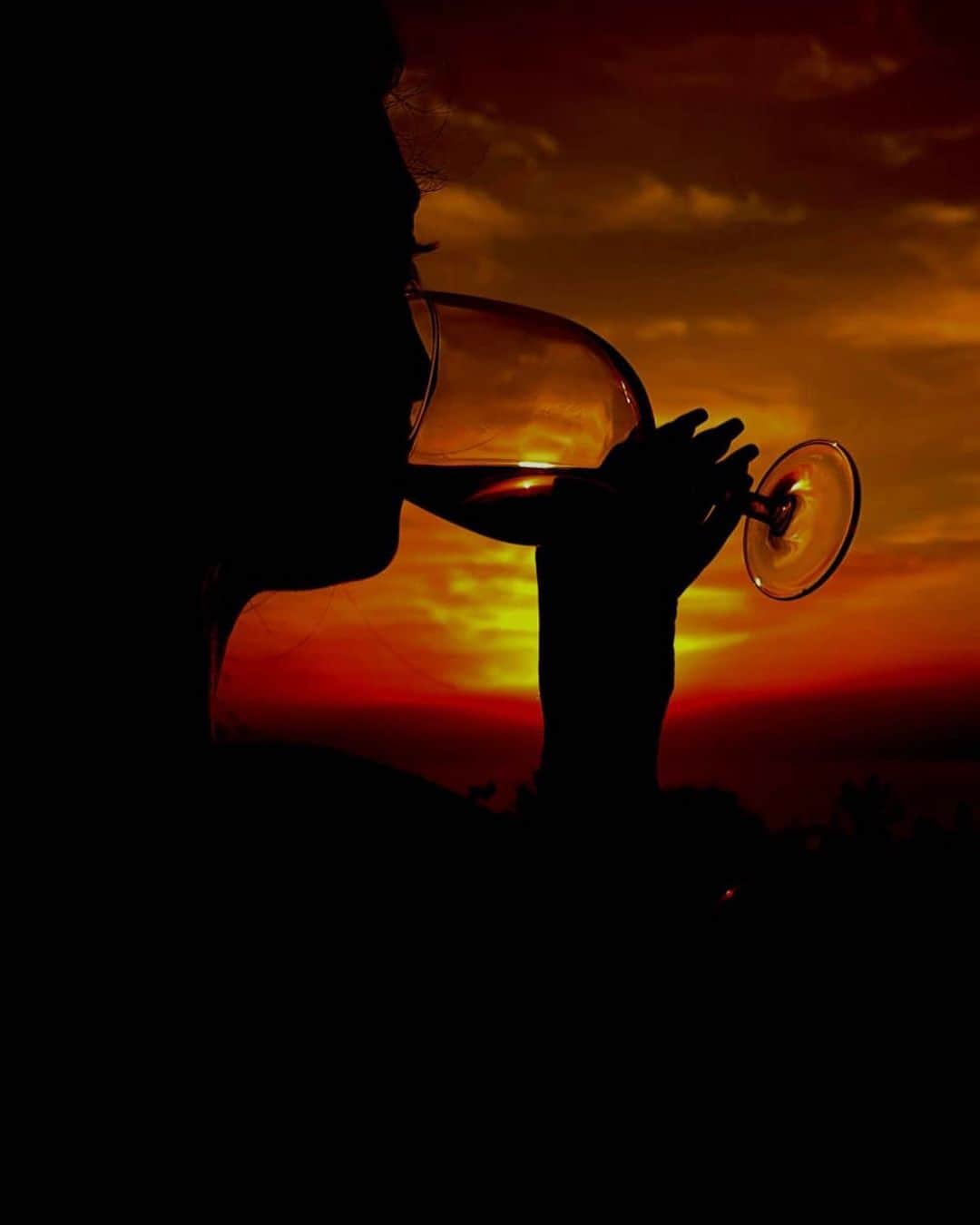 アロナ・コシェヴァツキーさんのインスタグラム写真 - (アロナ・コシェヴァツキーInstagram)「Stay home drink your wine 🥂」3月24日 2時40分 - alona_koshevatskiy
