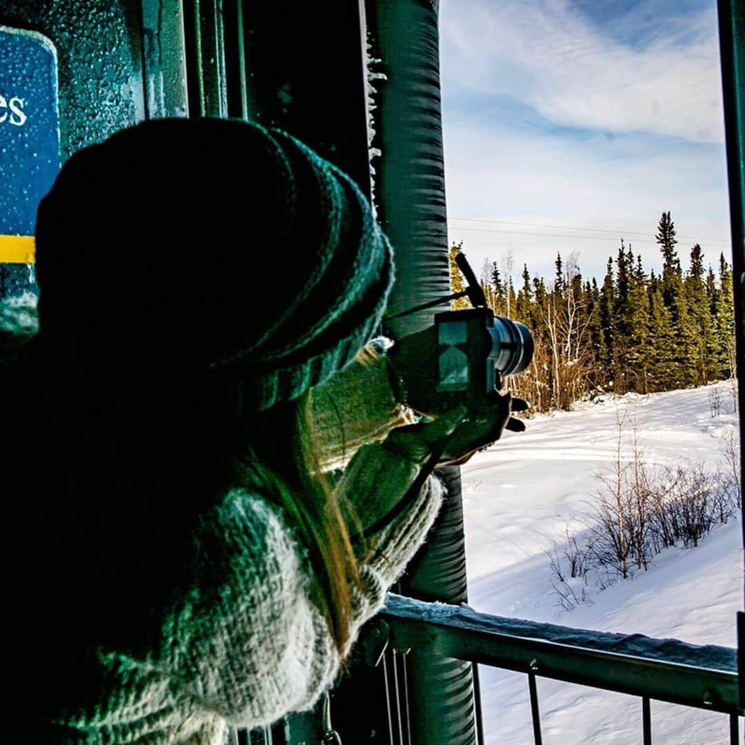 リサ・アンさんのインスタグラム写真 - (リサ・アンInstagram)「#throwback #alaskarailroad #Alaska  The train from Fairbanks to Anchorage was incredible, when I wasn’t looking out the window, I was adventure seeking on the train, the different doors & the highest mountain peaks where all I wanted was to dangle my feet out the side of the open train. So I did! The views, the fresh air and the untouched nature was special along with a couple little spots along the way, including Denali. #March2019」3月24日 3時51分 - thereallisaann