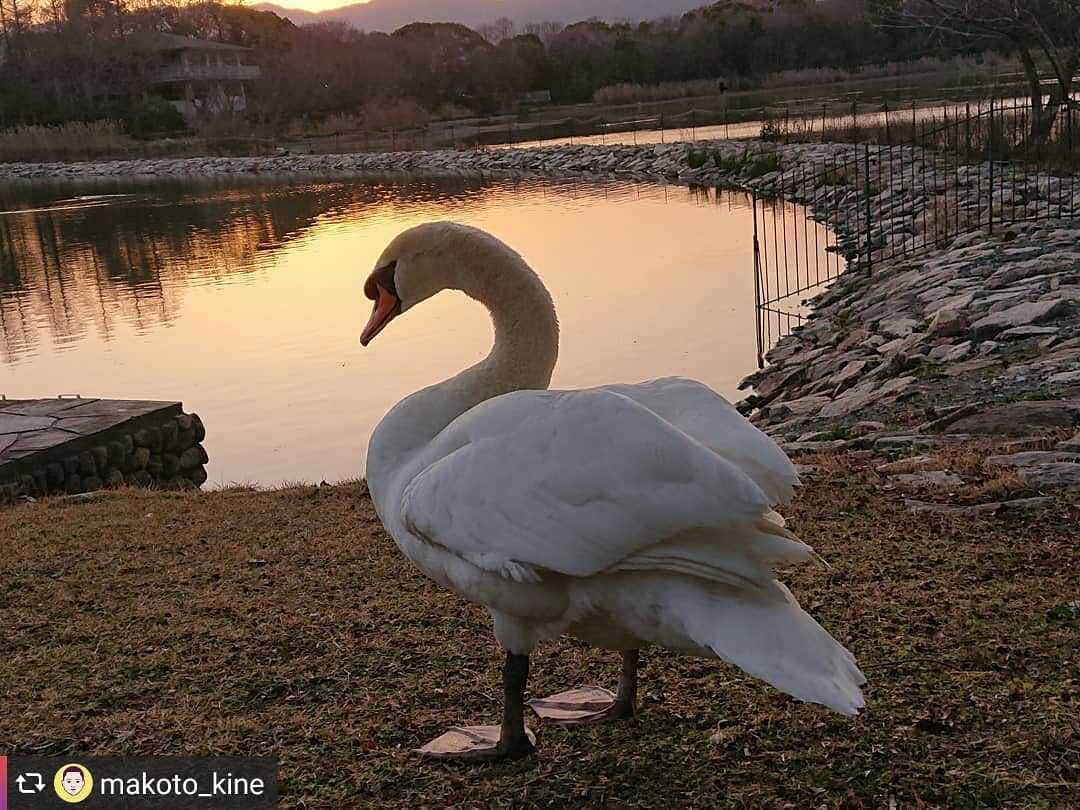 兵庫県のインスタグラム