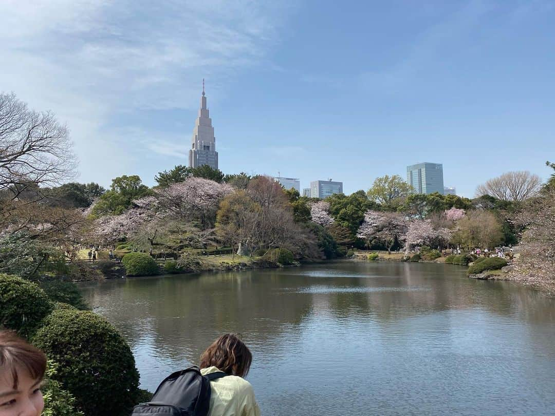 宮下純一さんのインスタグラム写真 - (宮下純一Instagram)「新宿御苑の桜🌸満開でした🥰庭と高層ビルの景色がすごい好きです！#新宿御苑 #花見 #満開🌸 #がんばろう日本」3月24日 8時02分 - junichi1017